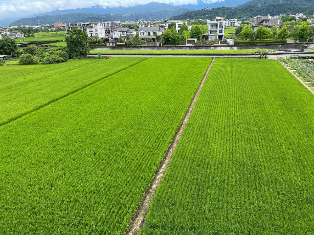 方興top會館 全新包棟電梯民宿 Sanxing Esterno foto